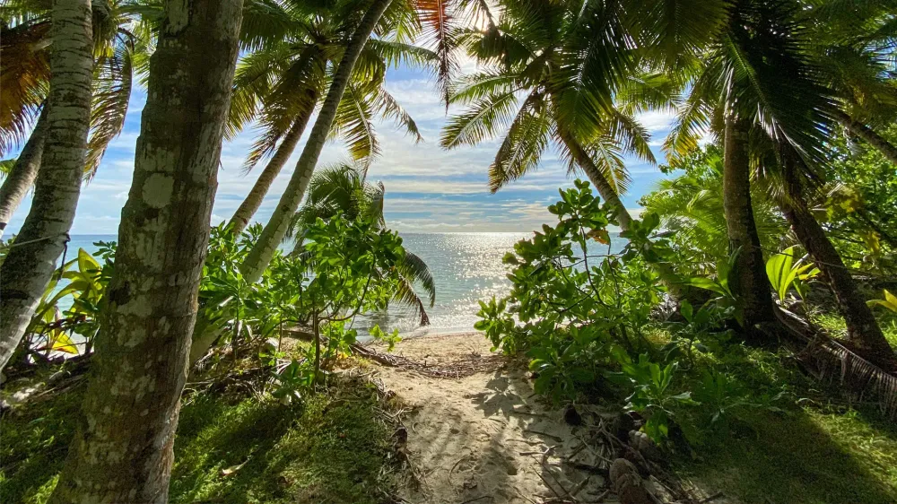seychelles beach